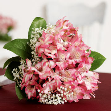 A bunch of Alstroemeria flowers for Valentine's day to gift