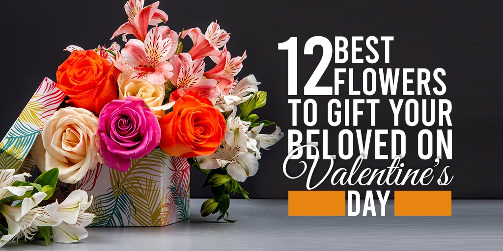 12 Best Flowers to Gift Your Beloved on Valentine’s Day