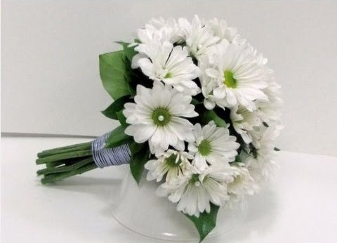 A bunch of White Daisies - Best Flowers for Valentine's Day to Gift