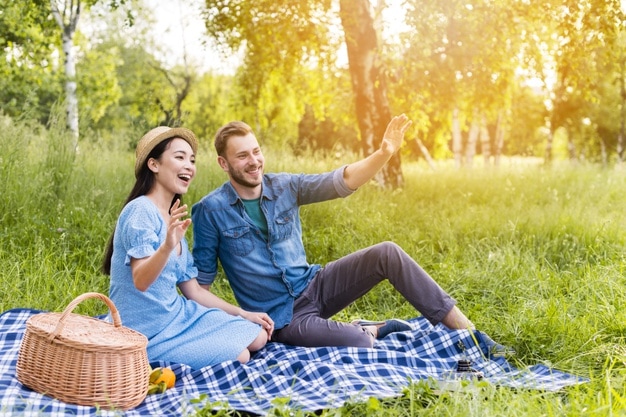 Explore these 10 Amazing Ideas to Celebrate Your Wedding Anniversary the Perfect Way-go on a picnic