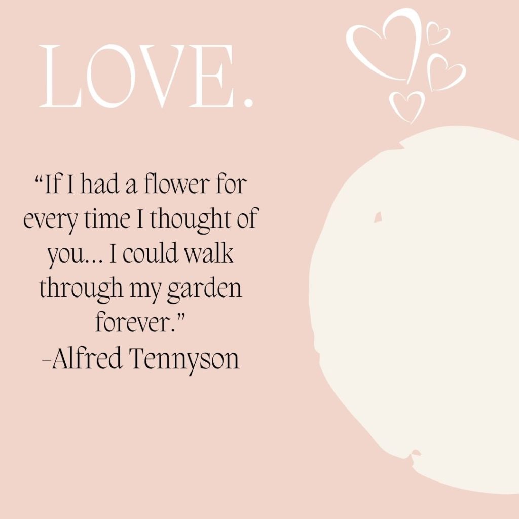 Valentine's day quotes 