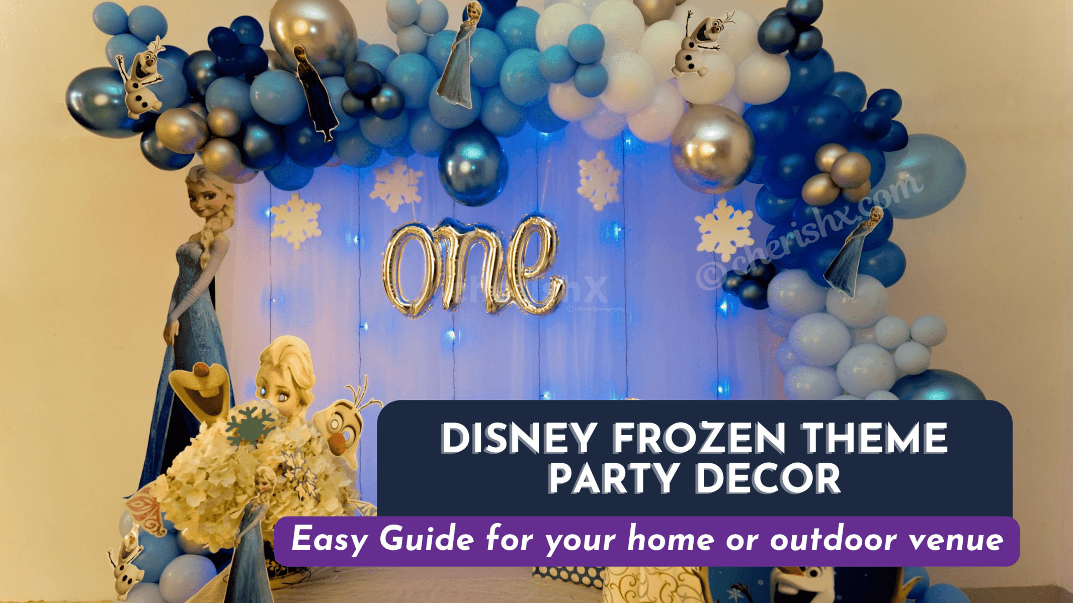 Disney Frozen theme birthday decoration