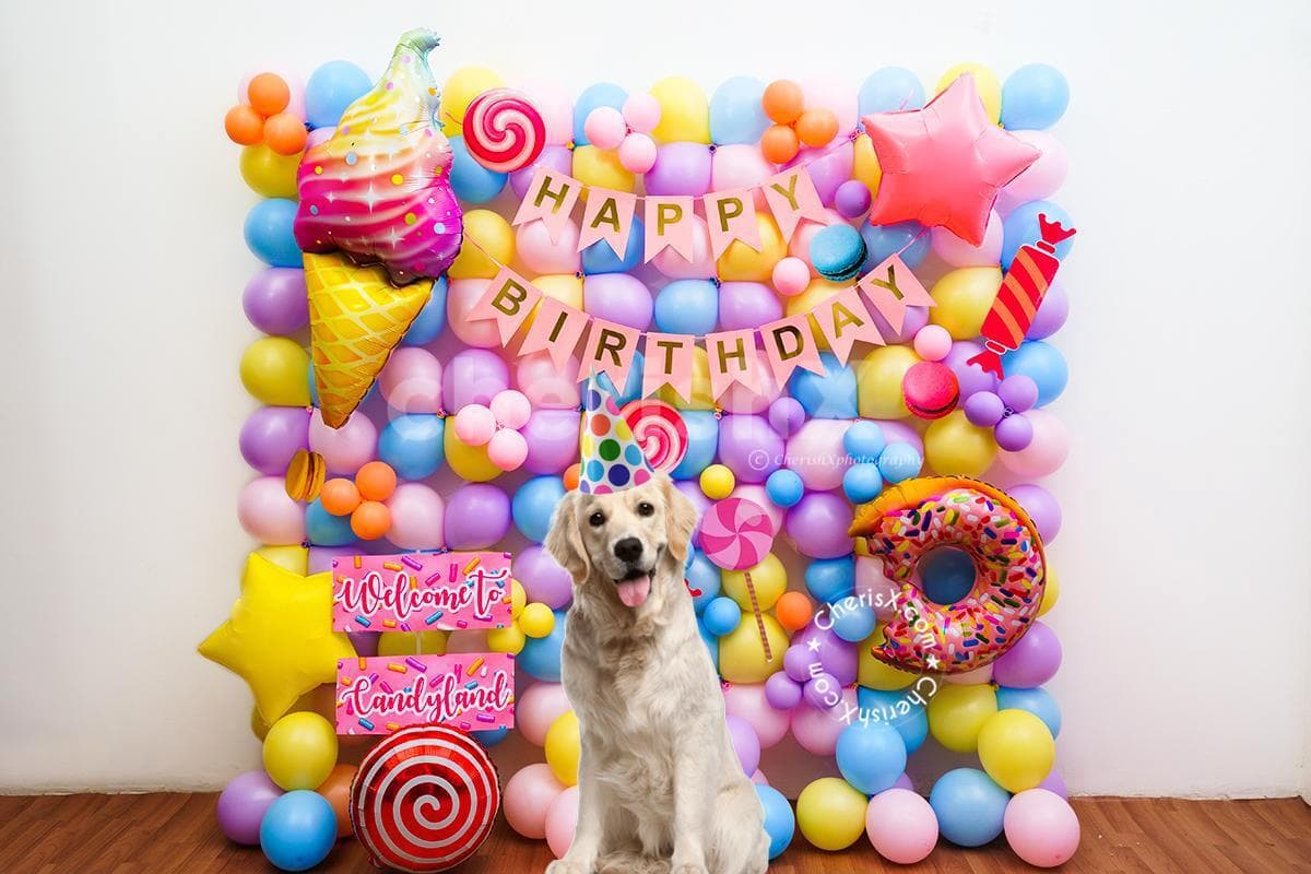 celebrate dog birthday