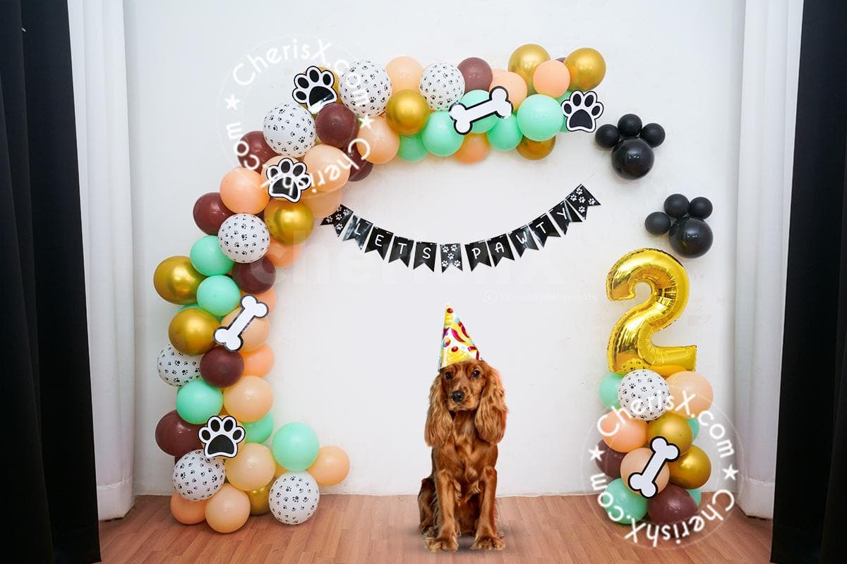 celebrate dog birthday