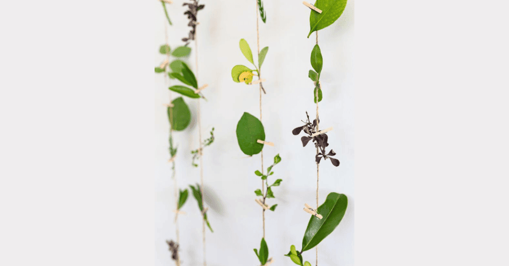 Natural party backdrop with leaves 