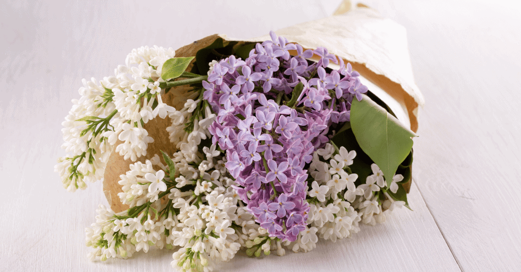 Lilacs bouquet on the table 