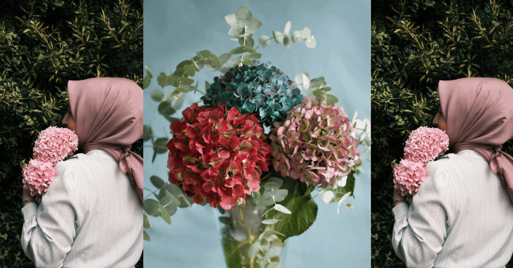 multi-colored bouquet of hydrangea flowers and a girl holding a bunch of hydrangea flowers in her hand 