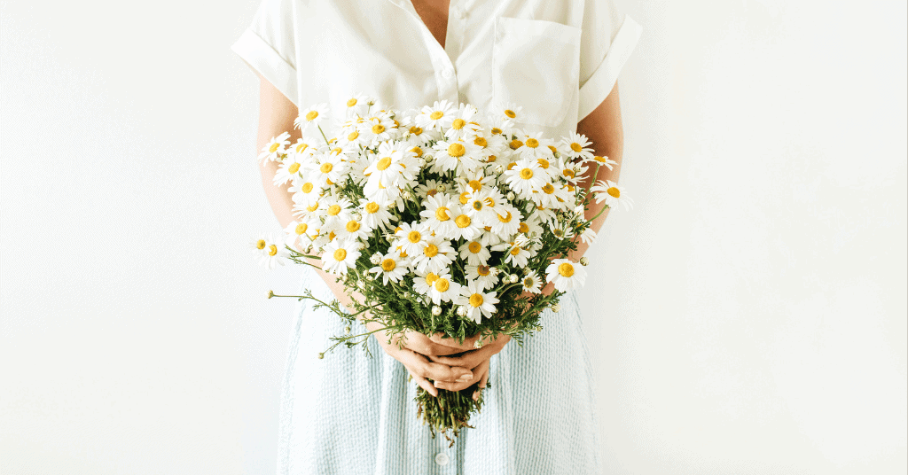 Daisies Flower Bouquet For a First Date To Gift 