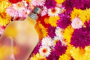 Flowers & Fragrance