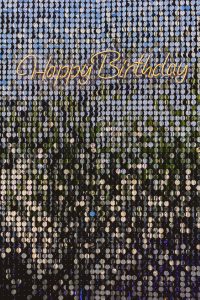 Sequin Sparkle Backdrop